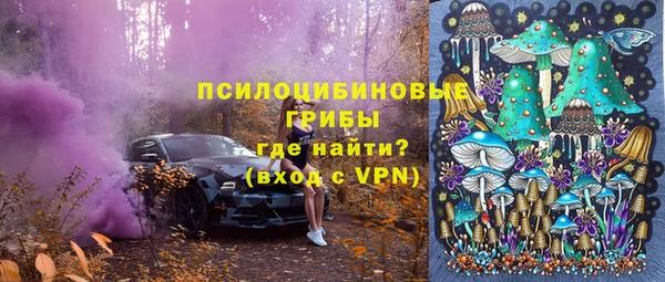 эйфоретик Сафоново